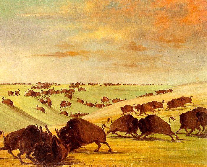 George Catlin Buffalo Bulls Fighting in Running Season-Upper Missouri china oil painting image